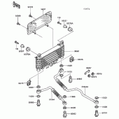 Схема узла: Масляный охладитель для Kawasaki ZG1000 Concours