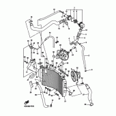 Схема вузла: Радіатор та Патрубок системи охолодження Yamaha YZF-R1 R1