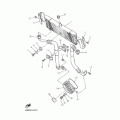 Схема узла: Масляный охладитель Yamaha XJR400