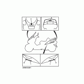 Схема узла: Графика и Эмблема (5CG3) Yamaha YP250 Majesty SV