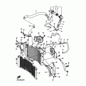 Схема вузла: Радіатор та Патрубок системи охолодження Yamaha FZ1 FZ1 FAZER (S-TYPE)