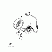 Схема вузла: Генератор Yamaha TT-R250 TT-R250