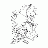 Схема узла: Радиатор и шланги Yamaha YP250 Majesty