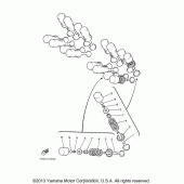 Схема узла: Клапан Yamaha YZF600R Thundercat