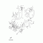 Схема узла: Радиатор и Патрубок системы охлаждения Yamaha YP250 X-MAX