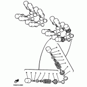 Схема вузла: Клапан Yamaha FZS600 FAZER
