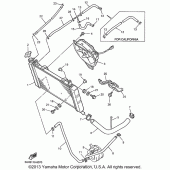 Схема вузла: Радіатор та Патрубок системи охолодження Yamaha YZF600R Thundercat