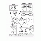 Схема вузла: Емблема та наклейки 2 Yamaha YZF-R25