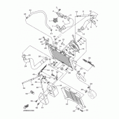 Схема узла: Радиатор и Патрубок системы охлаждения Yamaha XJ6 XJ6-N (Naked)