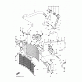 Схема вузла: Радіатор та Патрубок системи охолодження Yamaha FZ1 FZ1 FAZER (S-TYPE ABS)
