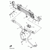 Схема узла: Масляный охладитель Yamaha XJR1200
