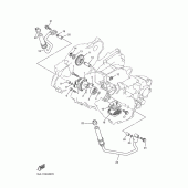 Схема узла: Масляный насос Yamaha WR250 WR250F