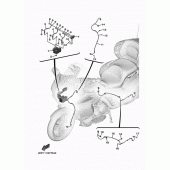 Схема вузла: Деталі електричні 4 Yamaha XV1900 Star Venture