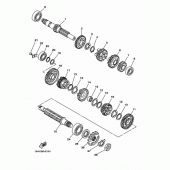 Схема узла: Трансмиссия Yamaha YBR250