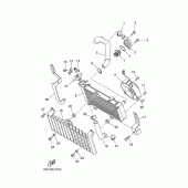 Схема вузла: Радіатор та Патрубок системи охолодження Yamaha XT660 XT660X