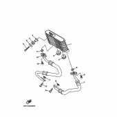 Схема узла: Масляный радиатор Yamaha XV1900 Stratoliner S