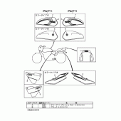 Схема вузла: Графіка та Емблема Yamaha XJR400