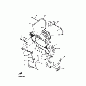 Схема вузла: Радіатор та Патрубок системи охолодження Yamaha FZS600 FAZER