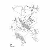 Схема узла: Радиатор и Патрубок системы охлаждения Yamaha FZ6 FZ6 FAZER S2