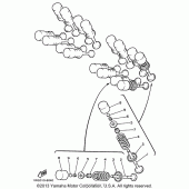 Схема узла: Клапан Yamaha YZF600R Thundercat