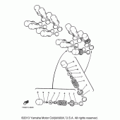 Схема узла: Клапан Yamaha YZF600R Thundercat