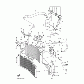 Схема вузла: Радіатор та Патрубок системи охолодження Yamaha FZ1 FZ1 FAZER (S-TYPE)