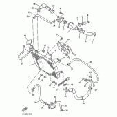 Схема вузла: Радіатор та Патрубок системи охолодження Yamaha YZF-R1 R1