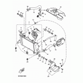 Схема вузла: Радіатор та Патрубок системи охолодження Yamaha YZF-R125