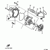 Схема узла: Водяной насос Yamaha TRX850
