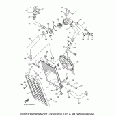 Схема вузла: Радіатор та Патрубок системи охолодження Yamaha XVS1300 Stryker