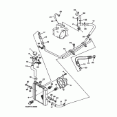 Схема узла: Радиатор и шланги Yamaha YP250 Majesty