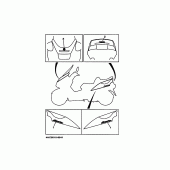 Схема узла: Графика и Эмблема (4HC5) Yamaha YP250 Majesty