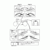 Схема вузла: Графіка та Емблема Yamaha XJR400