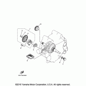 Схема вузла: Масляний насос Yamaha TTR50 TT-R50