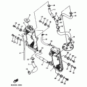Схема узла: Радиатор и Патрубок системы охлаждения Yamaha YZ250 YZ250