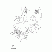 Схема узла: Радиатор и Патрубок системы охлаждения Yamaha YP250 X-MAX