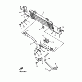 Схема узла: Масляный охладитель Yamaha XJR1200