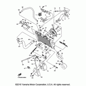 Схема вузла: Радіатор та Патрубок системи охолодження Yamaha FZ6 FZ6R
