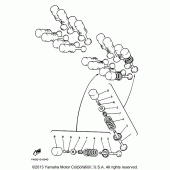 Схема узла: Клапан Yamaha YZF600R Thundercat