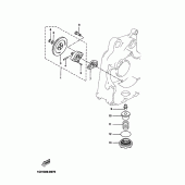 Схема вузла: Масляний насос Yamaha YP250 X-MAX