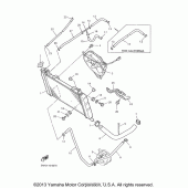 Схема вузла: Радіатор та Патрубок системи охолодження Yamaha YZF600R Thundercat