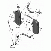 Схема узла: Радиатор и Патрубок системы охлаждения Yamaha YZ450F YZ450F