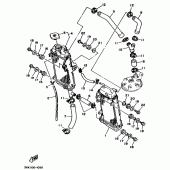 Схема вузла: Радіатор та Патрубок системи охолодження Yamaha YZ250 YZ250