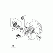 Схема вузла: Масляний насос Yamaha TTR50 TT-R50