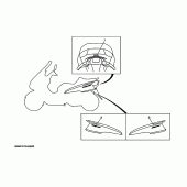 Схема вузла: Емблеми 1 (5GM1,8) Yamaha YP250 Majesty
