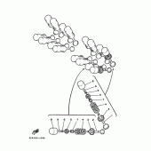 Схема узла: Клапан Yamaha FZX250 ZEAL