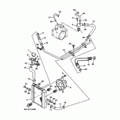 Схема узла: Радиатор и Патрубок системы охлаждения Yamaha YP250 Majesty