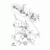 Схема вузла: Водяний насос Yamaha MT09/MTN850 MT-09 Tracer