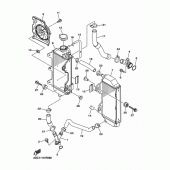 Схема вузла: Радіатор та Патрубок системи охолодження Yamaha WR450F